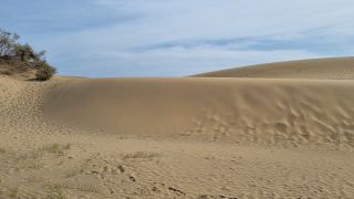 2023-GC-Dunas_Maspalomas-173.jpg